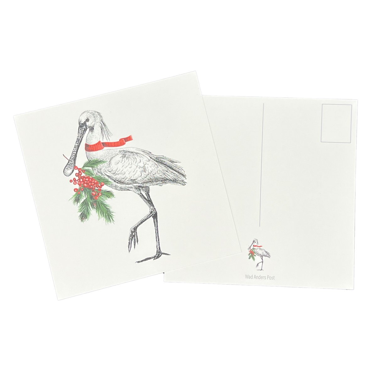 Kartka świąteczna - Spoonbill z bożonarodzeniową gałązką i czerwonymi jagodami
