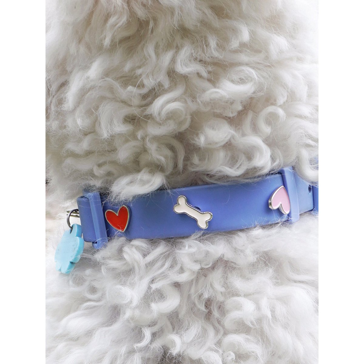 Herz Hundehalsband Anhänger