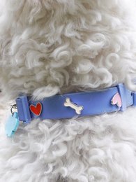 Herz Hundehalsband Anhänger