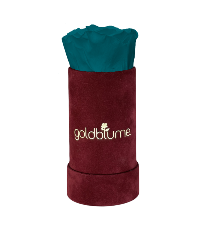 Velvet Bordeaux Collection