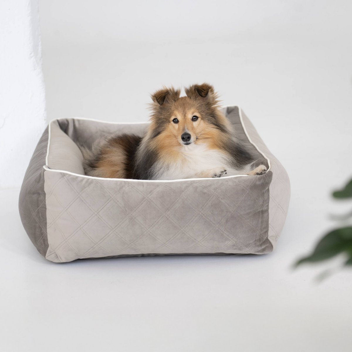 OXFORD I CLASSICO HUNDEBETT