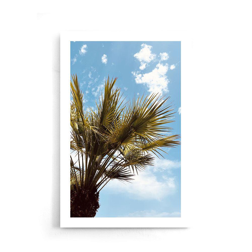 Beau palmier