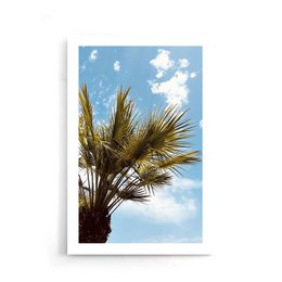 Beau palmier