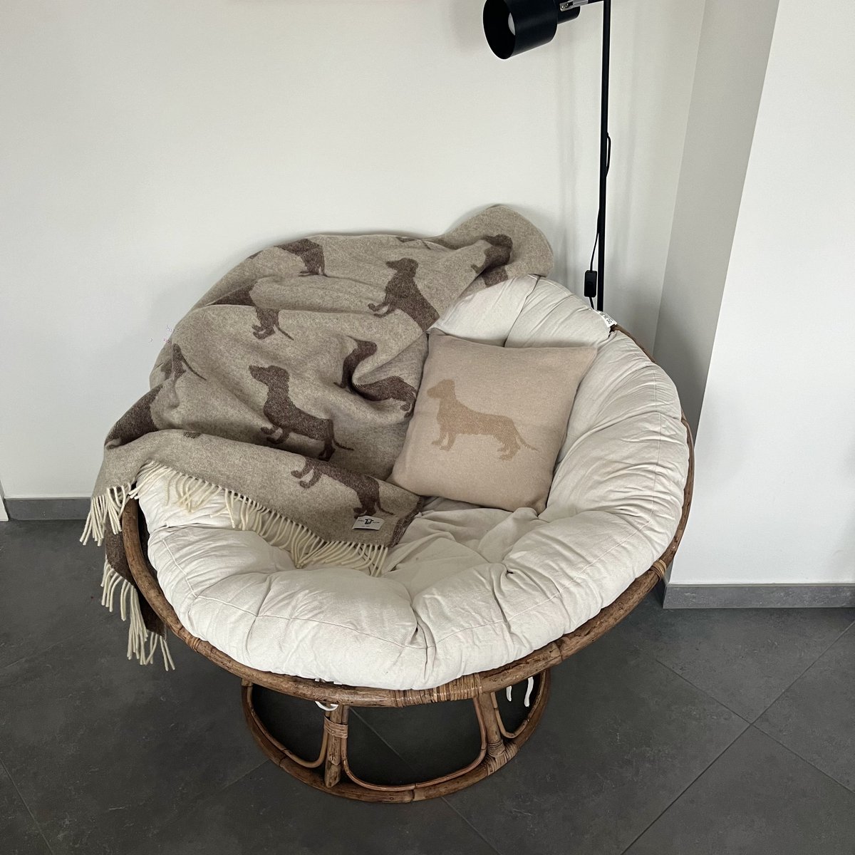 Dachshund / Teckel Plaid / deken 100% maagdelijke wol / 2SIDED