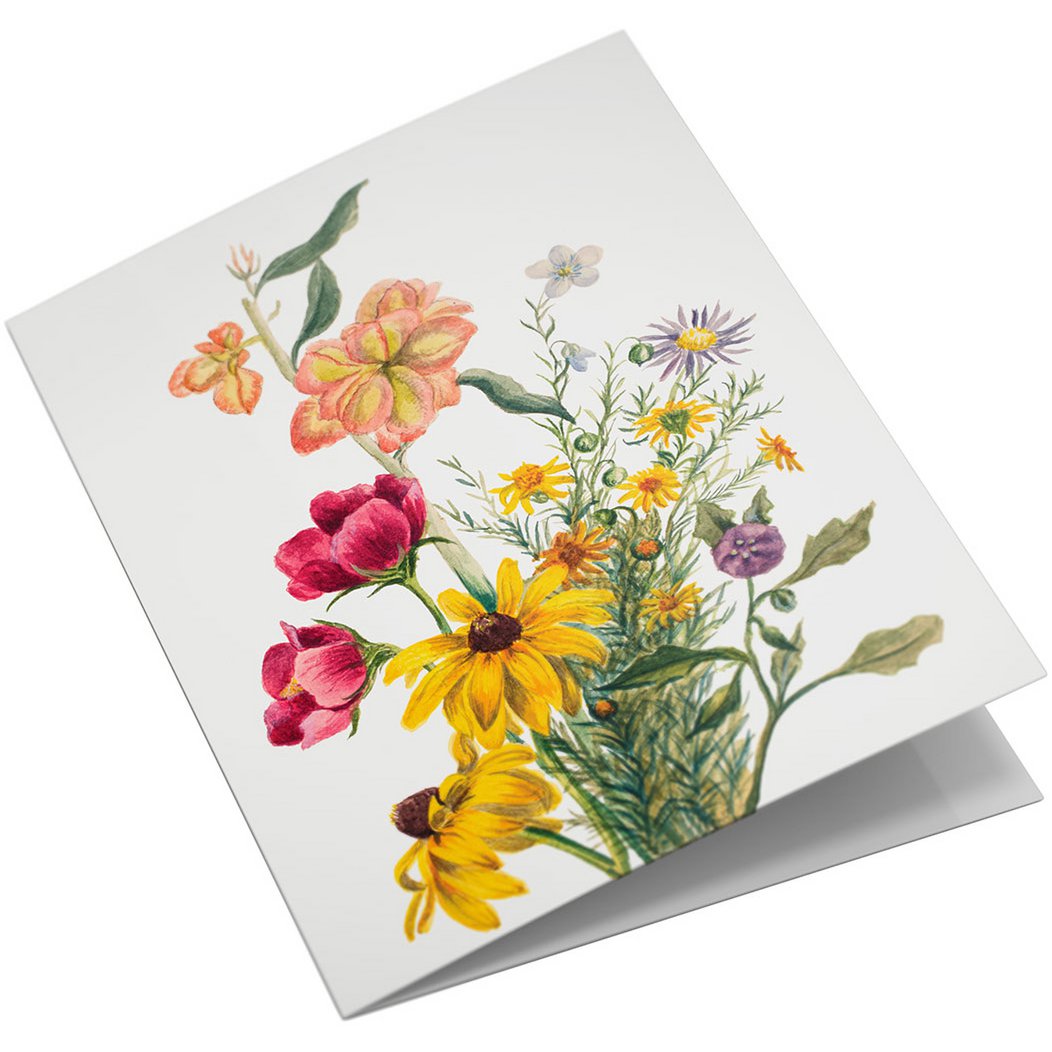 Lykønskningskortsæt Vilde blomster