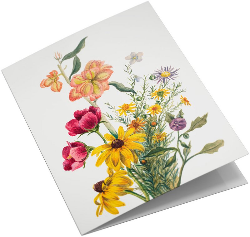 Lykønskningskortsæt Vilde blomster
