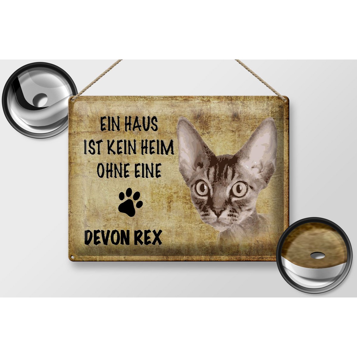 Metal sign saying 40x30cm Devon Rex cat without no home