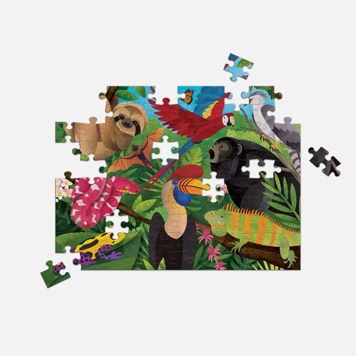 Puzzel - Regenwoud Vanboven En Vanonder