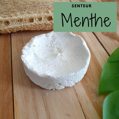 Festes Geschirrspülmittel Mint ohne Karton
