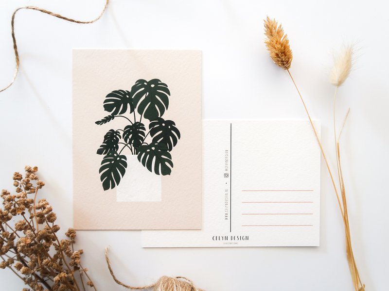 Ansichtkaart - Monstera