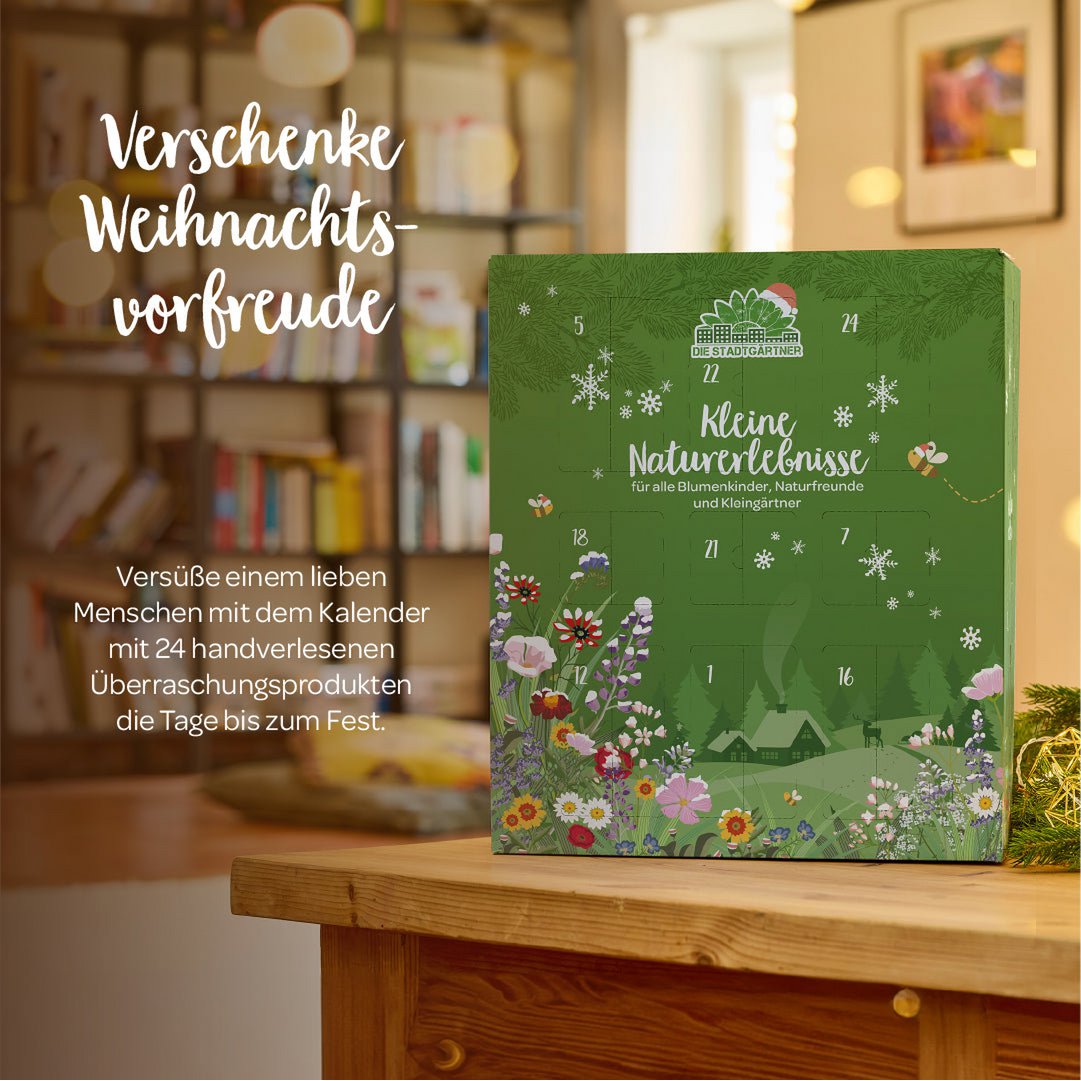 Stadtgärtner-Adventskalender 2026