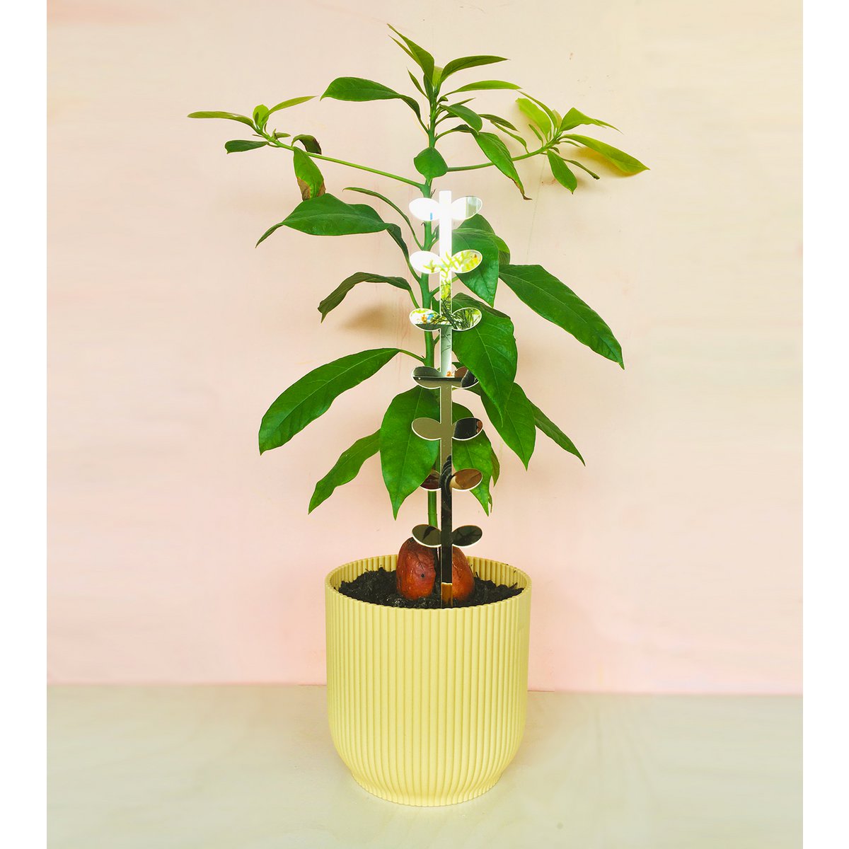 Plantstand L Leaves