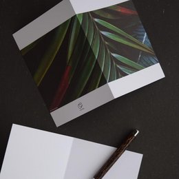 Set of 3 notecards featuring a vibrant, tropical leaf design in shades of green, red, and blue.