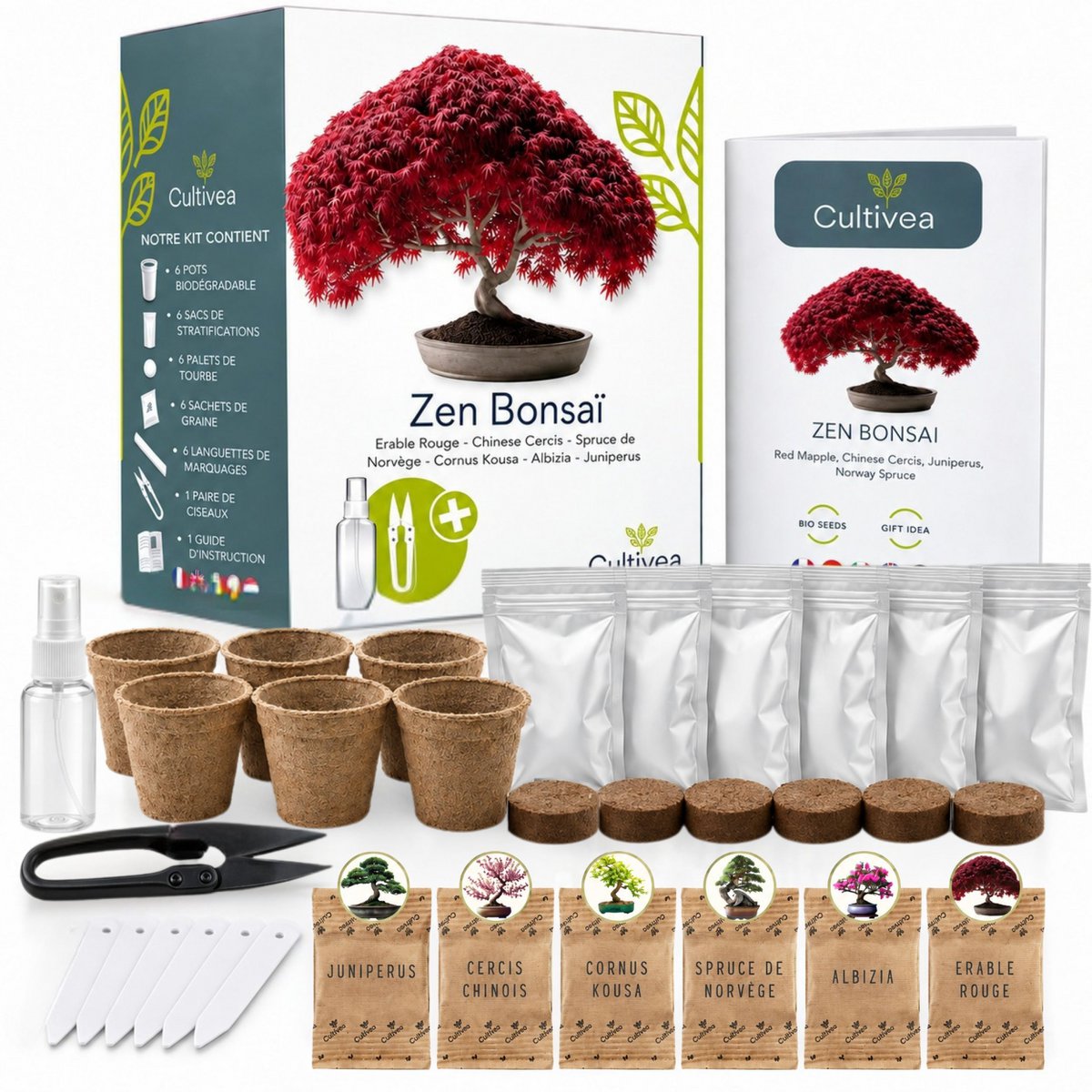 CULTIVEA® Kit Listo para Cultivar 6 Bonsáis - Jardinería y Decoración - Idea de Regalo de Navidad (Arce Rojo, Cercis Chino, Enebro, Liquidambar, Pícea Noruega)