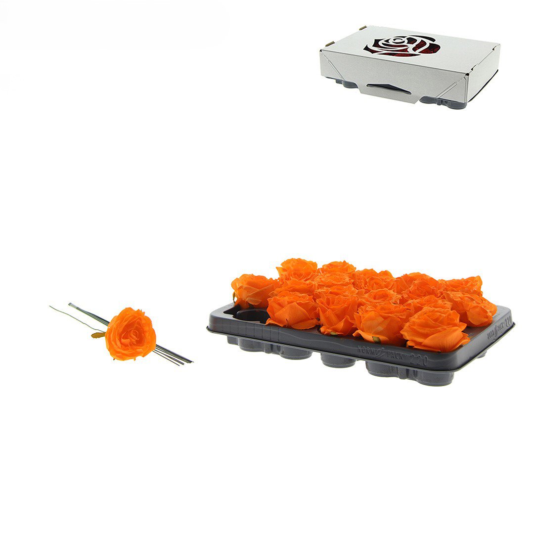 Rose Decooz® Silk - Orange