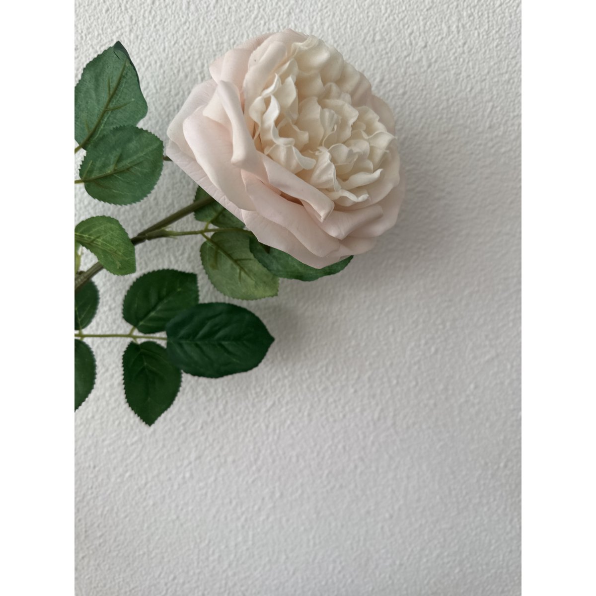 QMF Touch Rose 65cm Lys pink 2STK