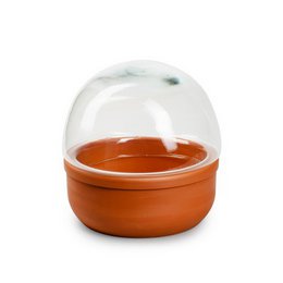 A round, tall glass bell jar with a ceramic base plate in a terracotta color. The jar measures approximately 17 cm in height and 17 cm in diameter, providing ample storage space for various items.