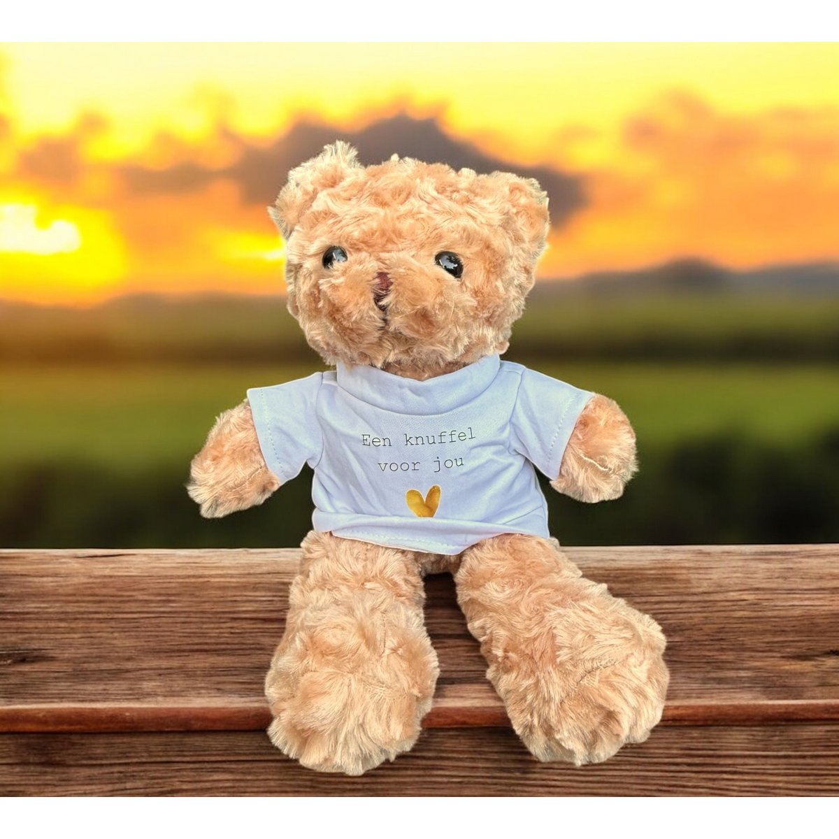 Cuddle for your bear with T-shirt