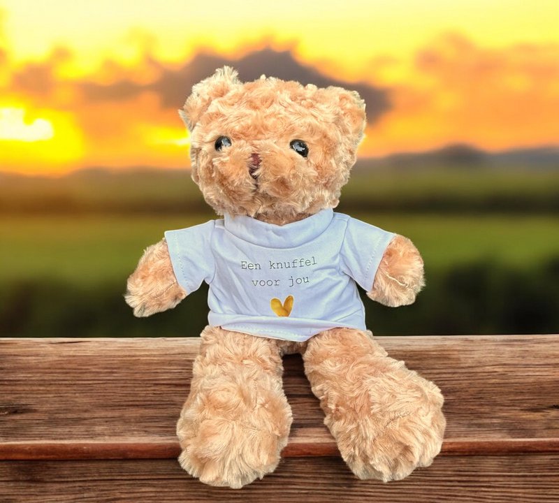 Knuffel voor jou beer met t-shirt
