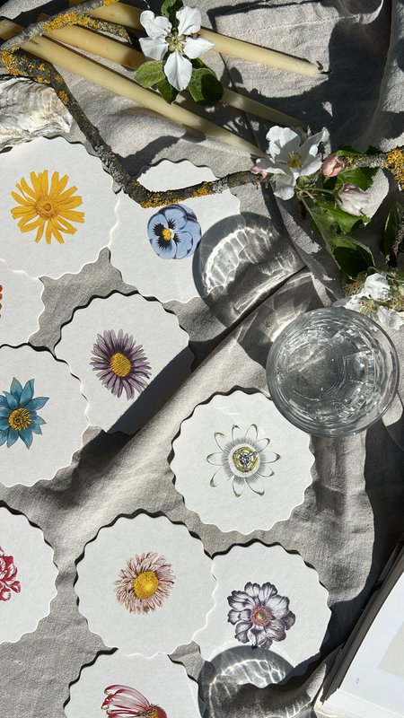 Coaster/Coaster 10 motifs flowers - 12 sets