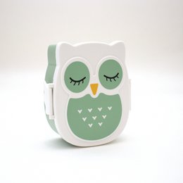 Snack box - Lunchbox Owl airtight & BPA free - Mint