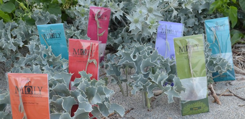 MΩLY "Harmony" – HoReCa Herbal Tea with Natural Herbal Stem