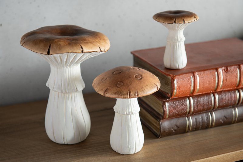J -Line Decoration Books - Polyresin - Brown - Large