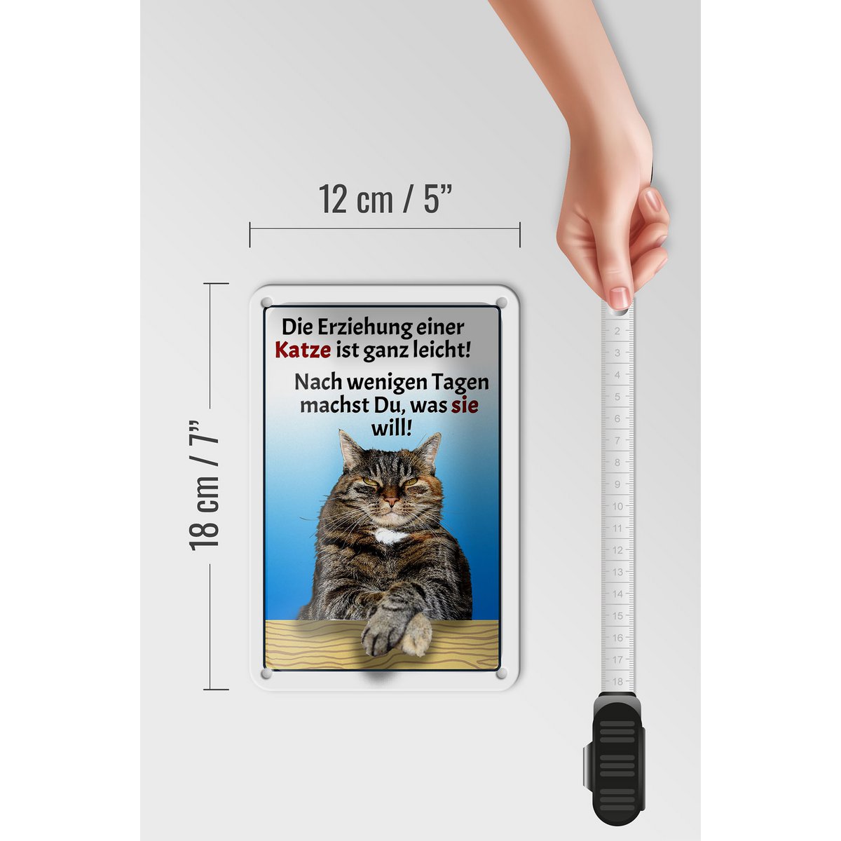 Tin sign saying 12x18cm raising a cat easy decoration