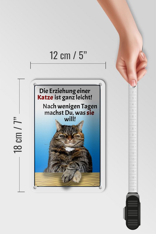 Tin sign saying 12x18cm raising a cat easy decoration