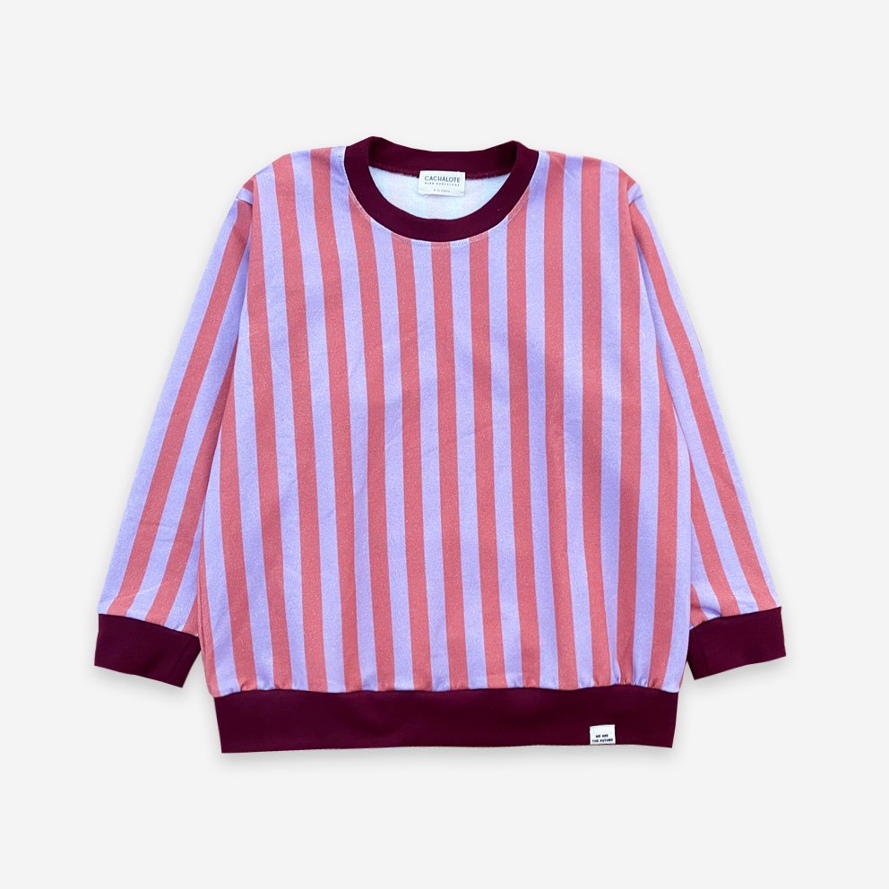 Sudadera rayas AW23/24