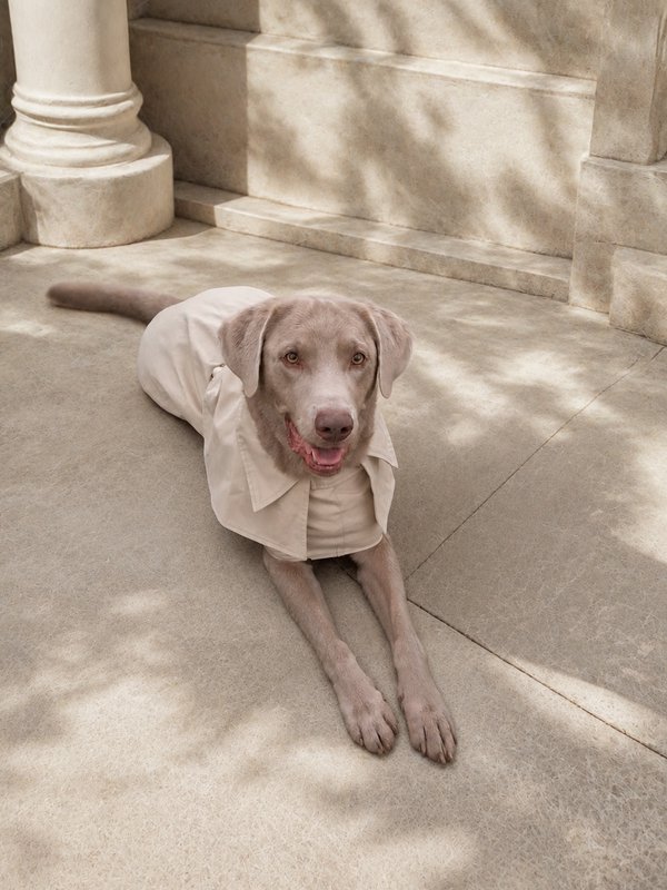 Luxury Waterproof Trenchcoat