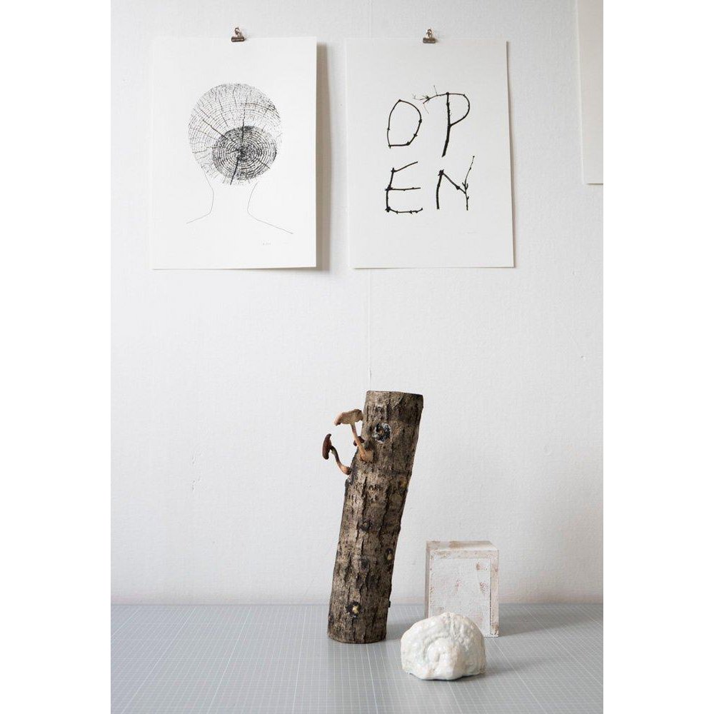 Sisar – screen print
