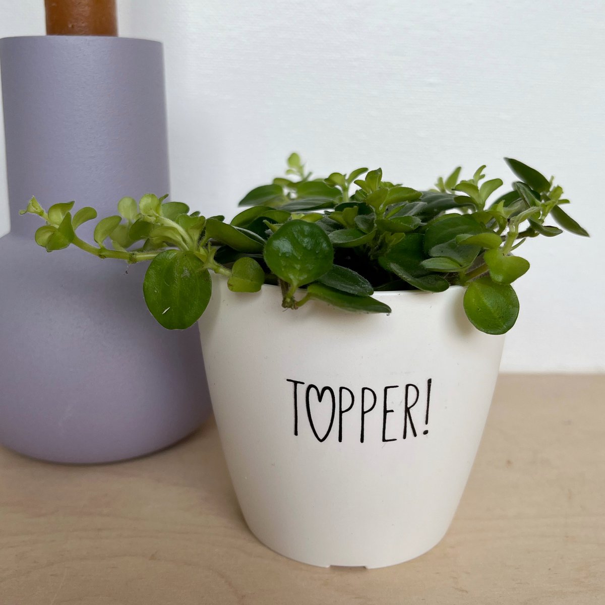 Blumentopf 'Topper' - weiß