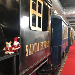 Decorazione da appendere in feltro biodegradabile fatta a mano della signora Santa Paws