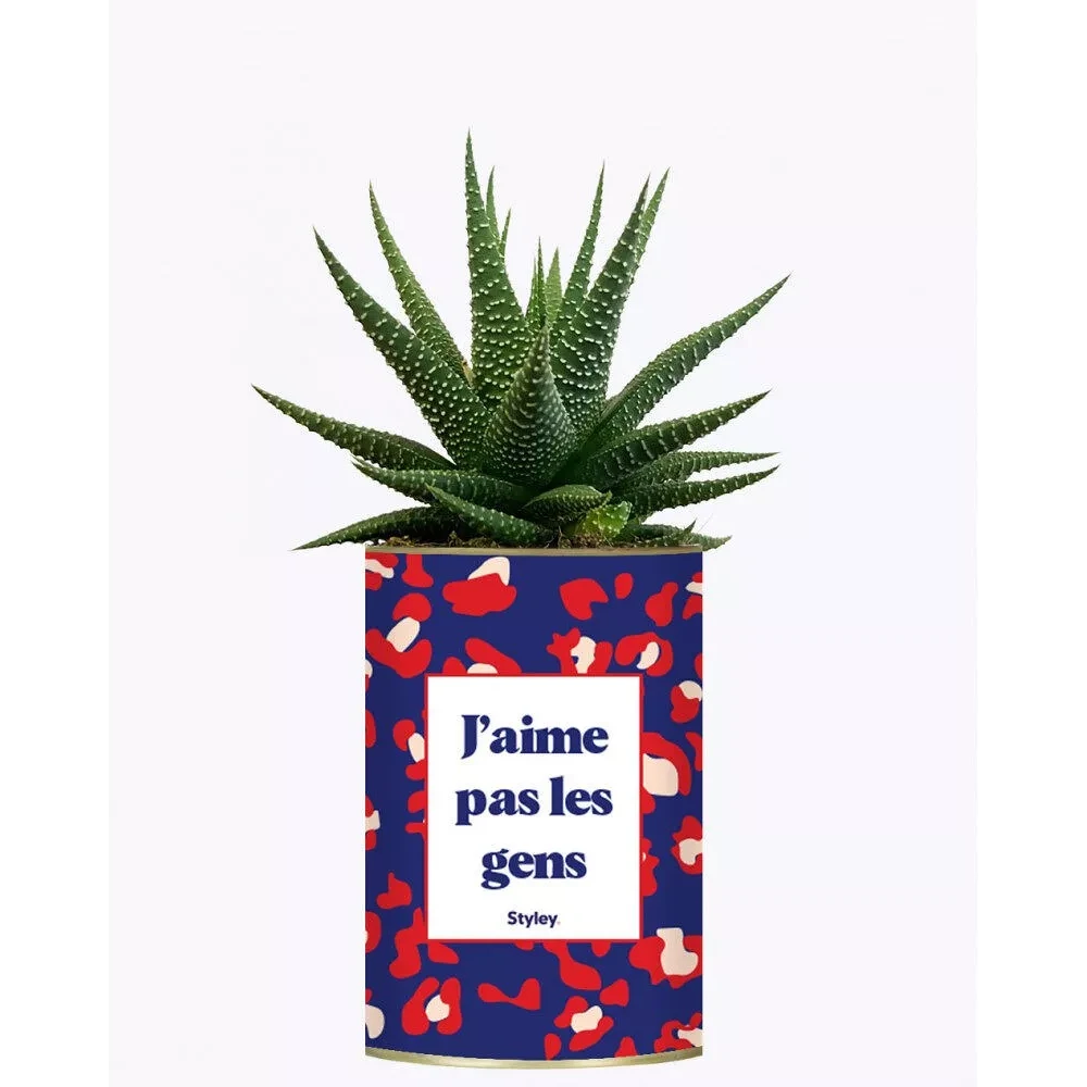 Pack Best Seller