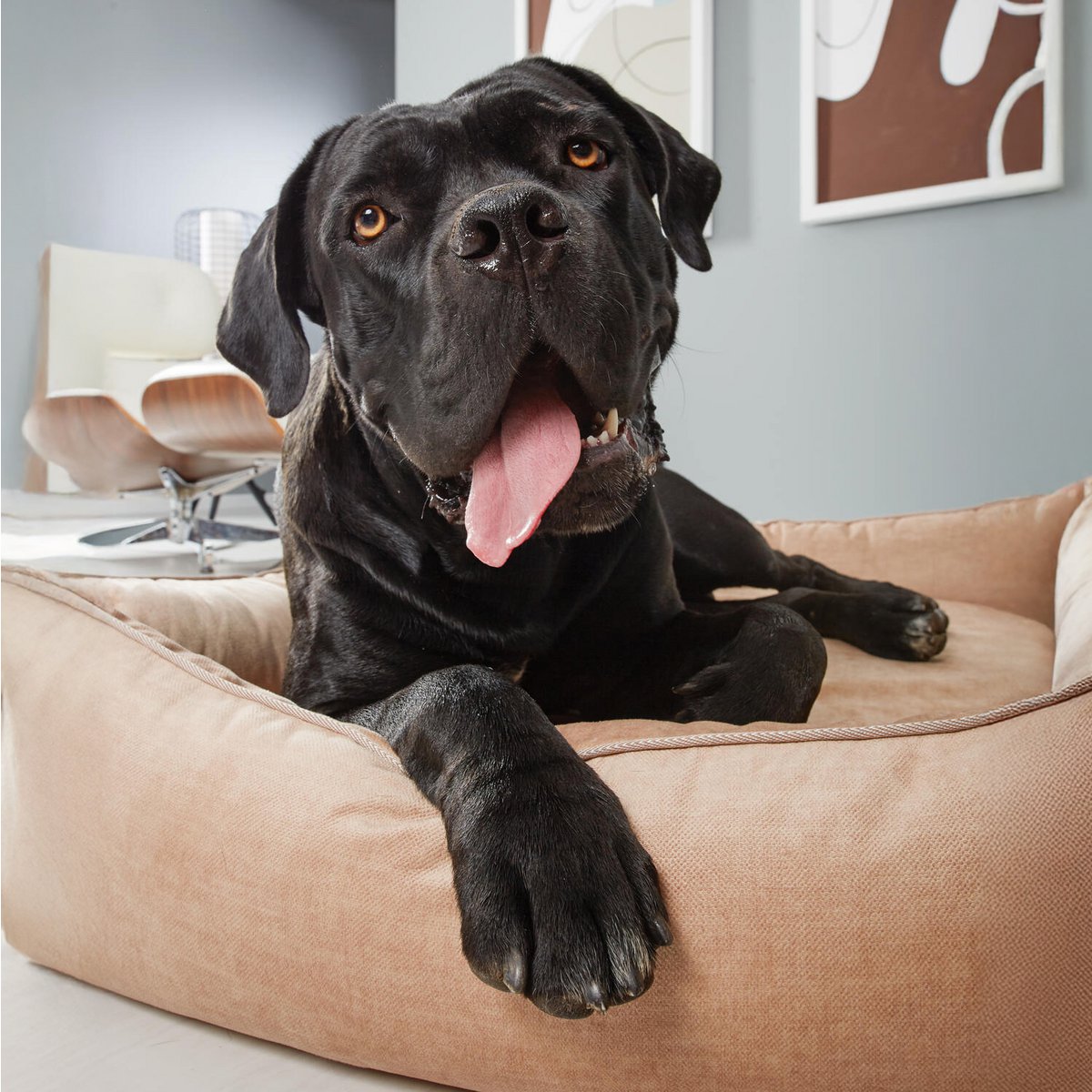 GLAM CLASSIC HUNDEBETT