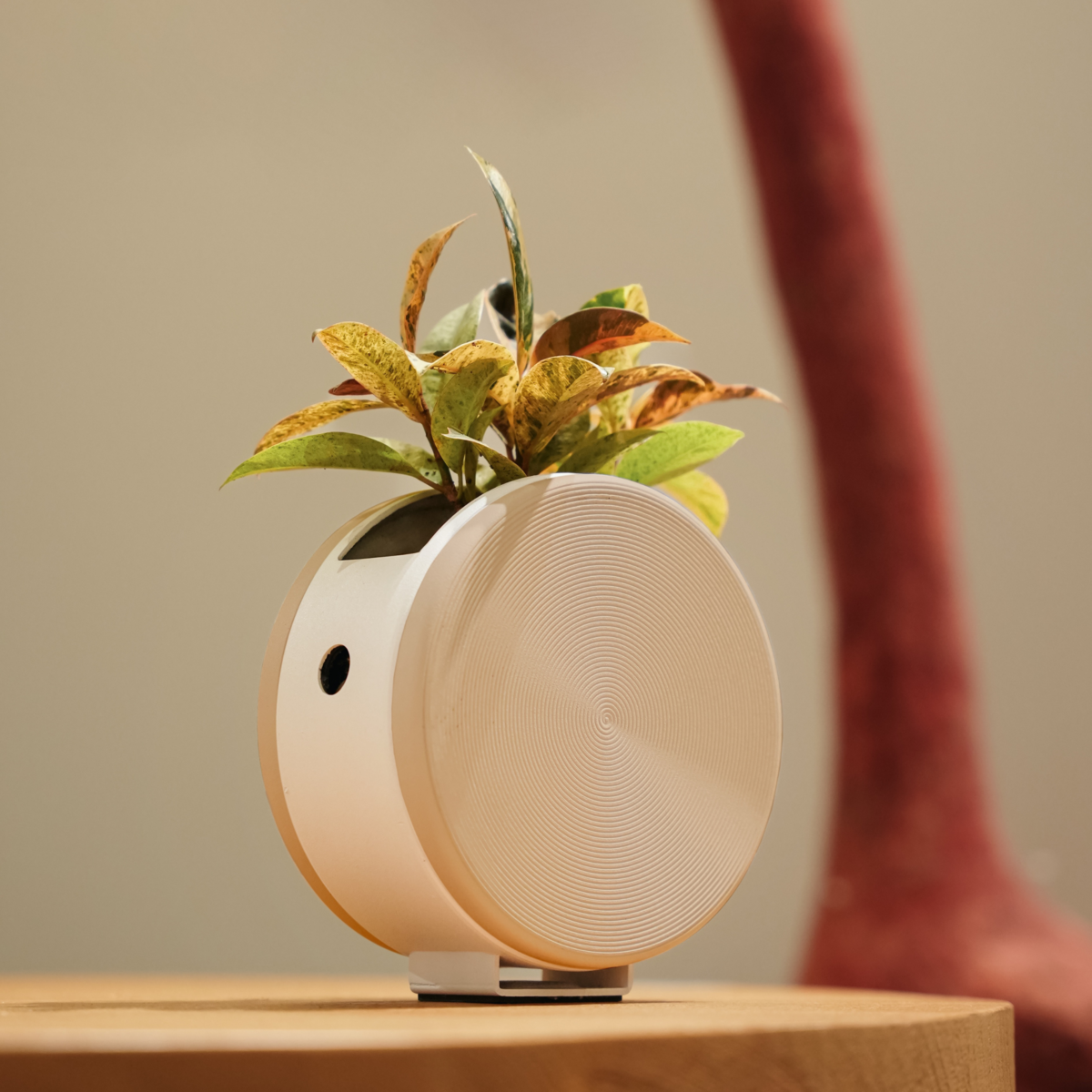 Round Pot med Self -Withlide System
