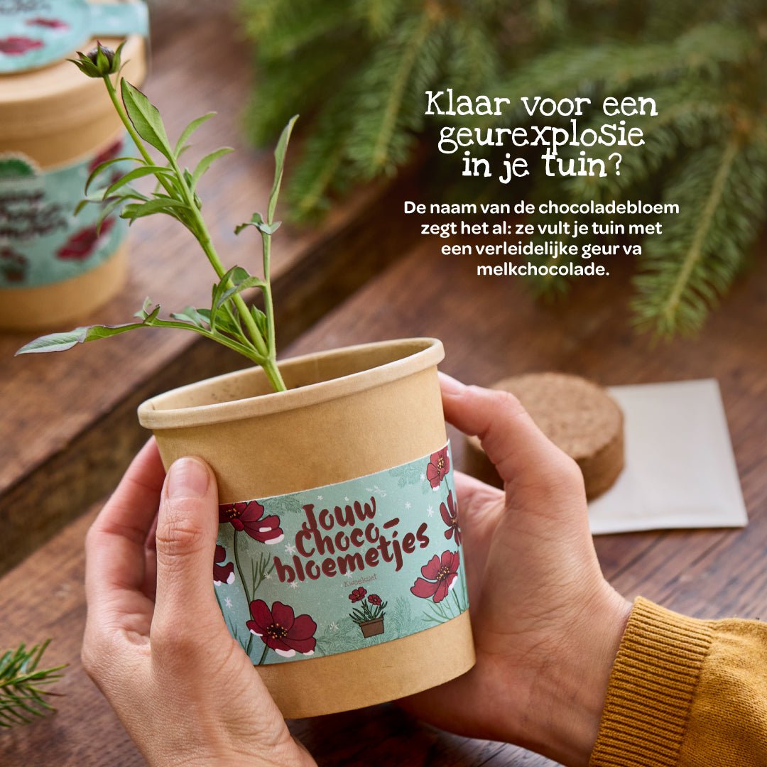 Chocoladebloemen uit de beker (NL)