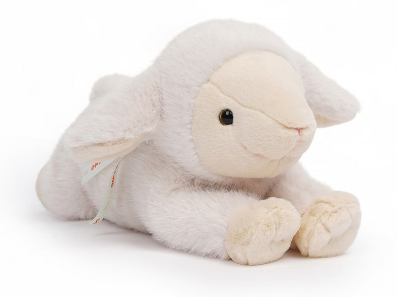 One Love Knuffel - Lam Daisy Wit
