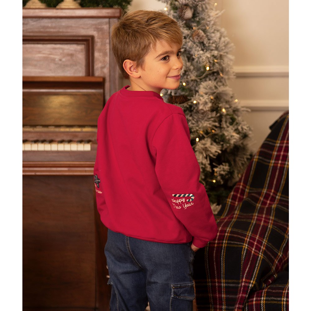 Santa Claus Embroidered Christmas Sweatshirt