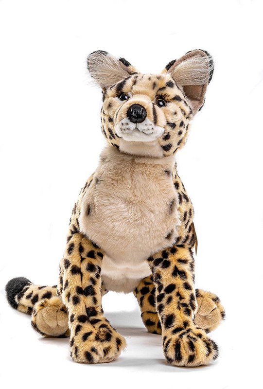 Savannah cat, lying - 60 cm (length)