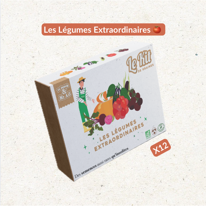 Buitengewone Groenten - Thematische tuinbouwset - Creatieve kit - DIY - Kerstcadeau