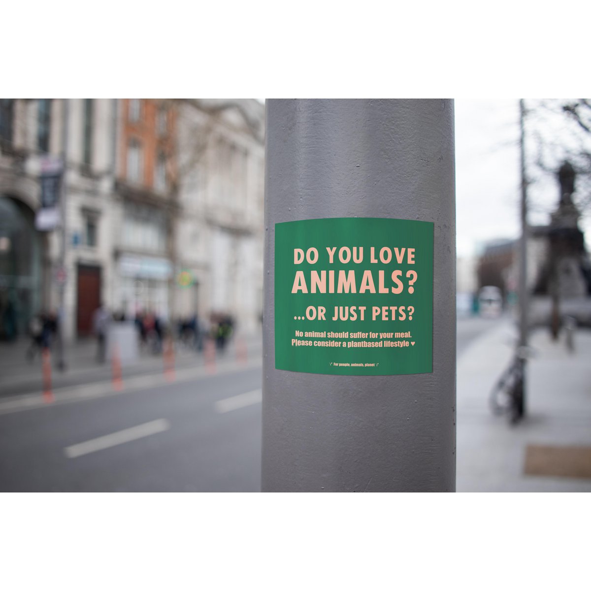 Pegatinas veganas para interior/exterior 'Ama a todos los animales, no solo a las mascotas'