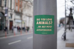 Vegan Indoor/Outdoor Stickers 'Love All Animals, Not Just Pets'