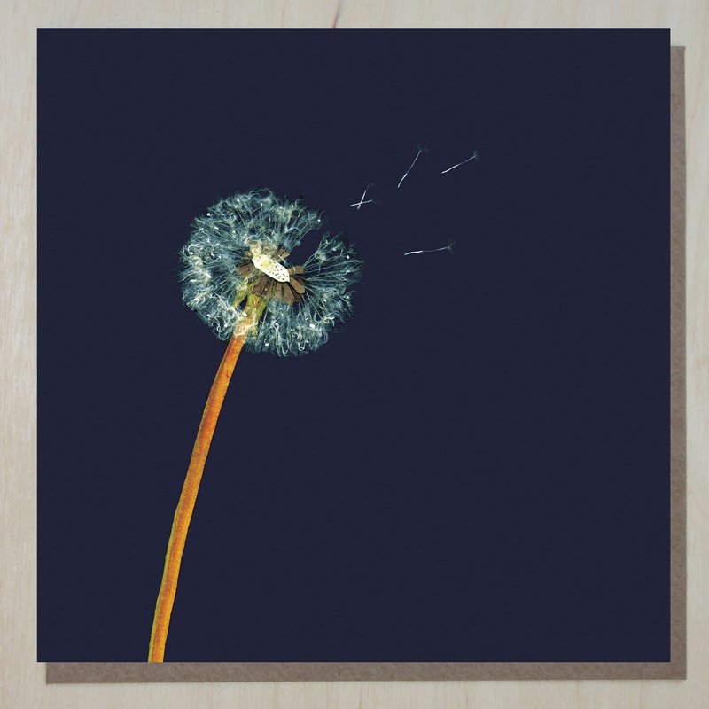 Puff Ball Card (blomsterkort)