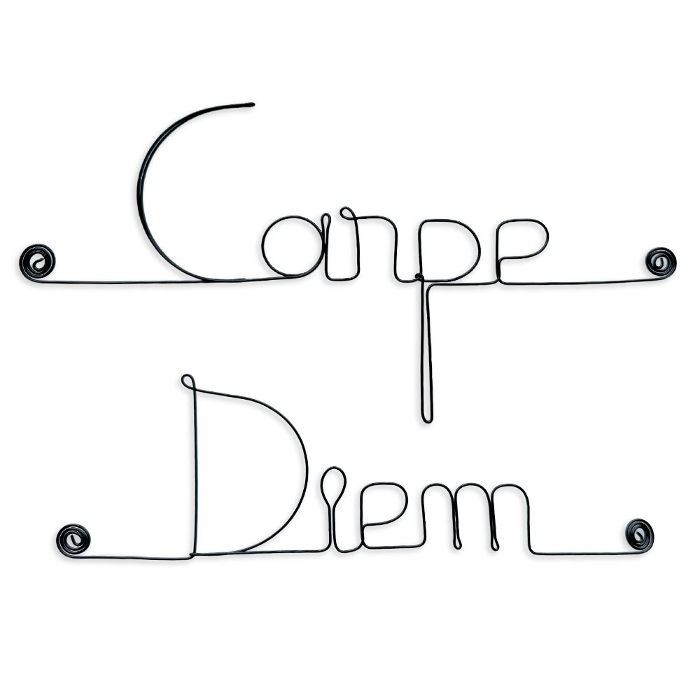Wire Wall Decoration "Carpe Diem" - to pin - Wall Jewelry