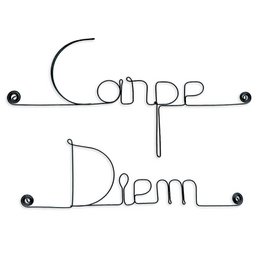 Wire Wall Decoration "Carpe Diem" - to pin - Wall Jewelry