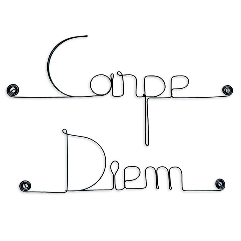 Wire Wall Decoration "Carpe Diem" - to pin - Wall Jewelry