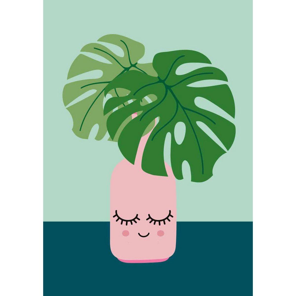Monstera-Pflanze