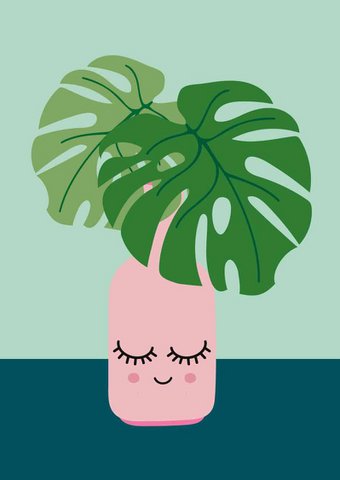 Monstera-Pflanze